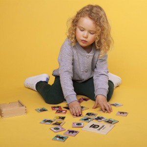 Brillebjørn minnespill